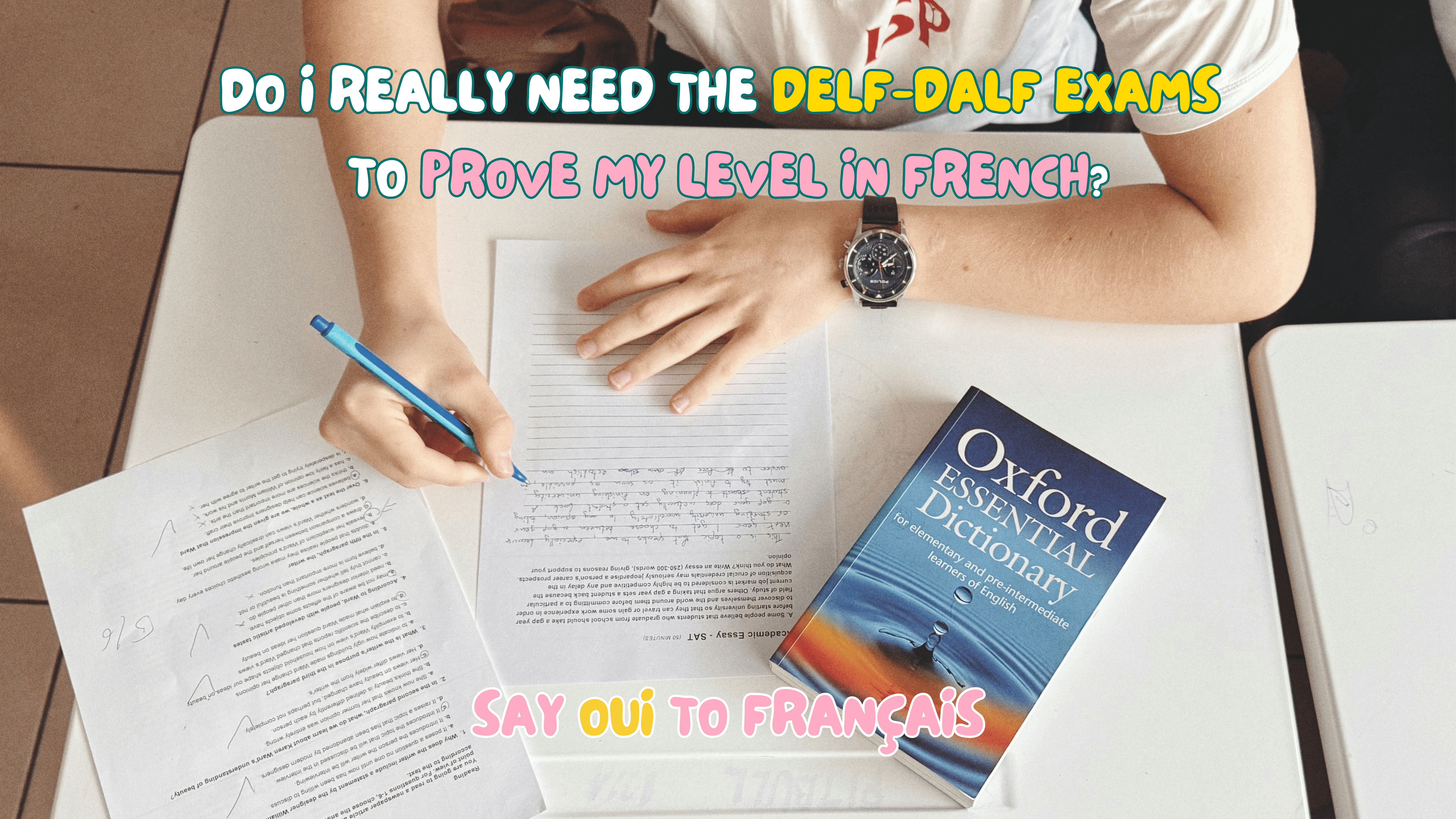 Do I really need the DELF / DALF to prove my level in French?